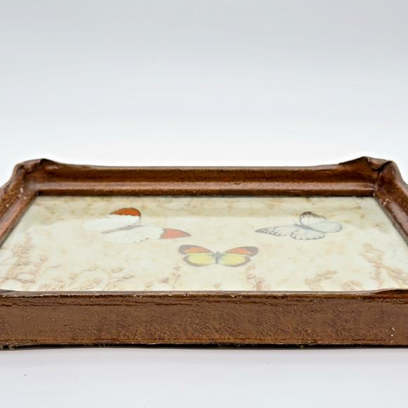 Vintage Antique Pressed Real Butterfly Tray Framed Botanicals 14.5" x 11" - Picture 7 of 16